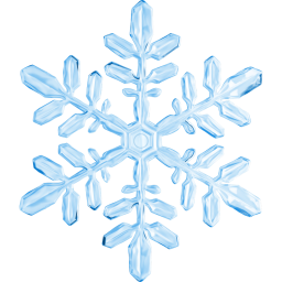 Frost Project